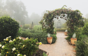 Join a walking tour through The Huntington Botanical Gardens highlighting the plants and herbs used in medicine