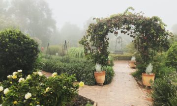 Join a walking tour through The Huntington Botanical Gardens highlighting the plants and herbs used in medicine