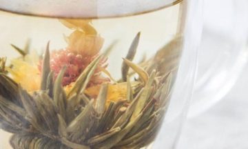 Living Medicine: Digestive Discomforts