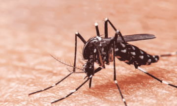 Swiss approval opens door for first malaria treatment in tiny infants